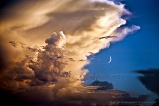 Nubes, pájaros, Luna y Venus