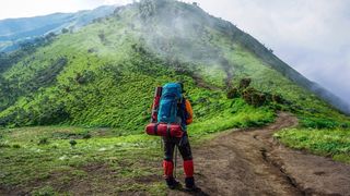 Excursión didáctica por el monte