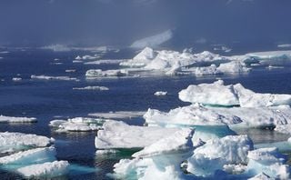 Las temperaturas baten récords entre enero y octubre