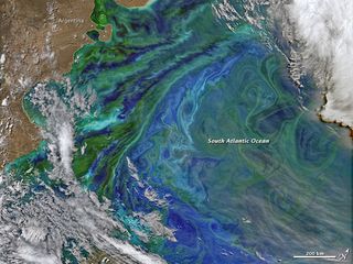 Aguas patagónicas llenas de colorido y plancton