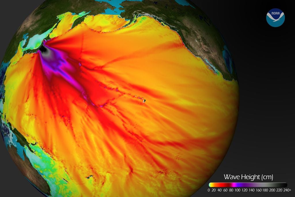 Altura de las olas del tsunami simuladas por modelos Altura de las olas del tsunami simuladas por modelos, en cm. Fuente: NOAADescarga la imagen: http://www.nnvl.noaa.gov/images/high_resolution/680_20110311-TsunamiWaveHeight.jpg
