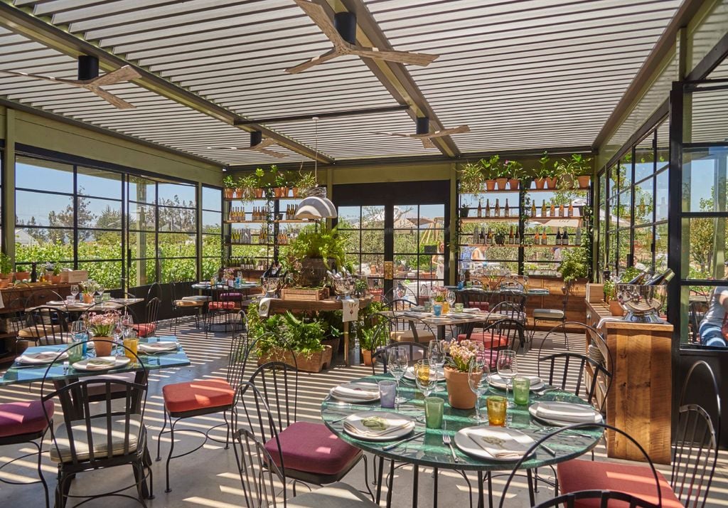 Botánico invitan a vivir San Valentín entre viñedos, con vinos de clase mundial y una gastronomía pensada para celebrar el amor.Imagen: Botánico