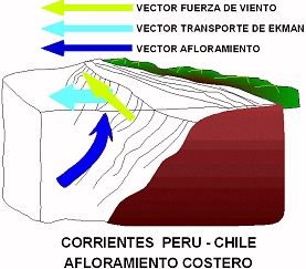 FIGURA N°5