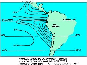 FIGURA N°6