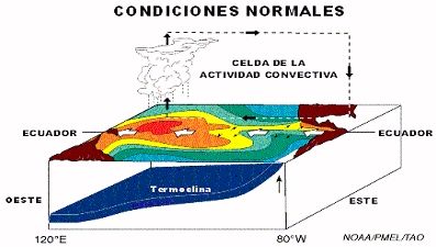 FIGURA N°7
