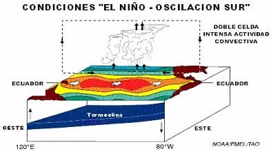 FIGURA N°8