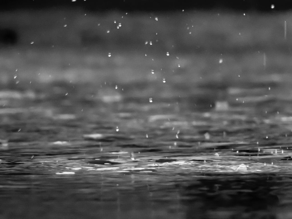 Origen del olor de la lluvia: petrichor. PXHERE