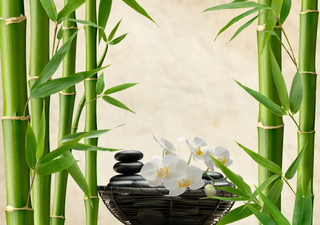 15 Plantas para activar el Feng Shui de tu casa y atraer buenas energías