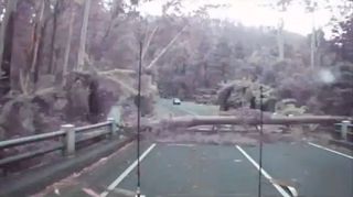 Conductor evita la caída de árboles durante la tormenta en Australia