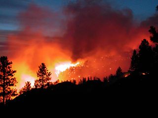 2014 registra la cifra más baja de incendios forestales en diez años