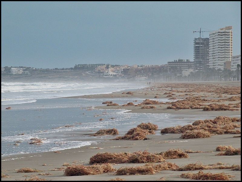 8ª Posición: Vendaval de Samuel Biener Camacho, Thunderstorm Alicante