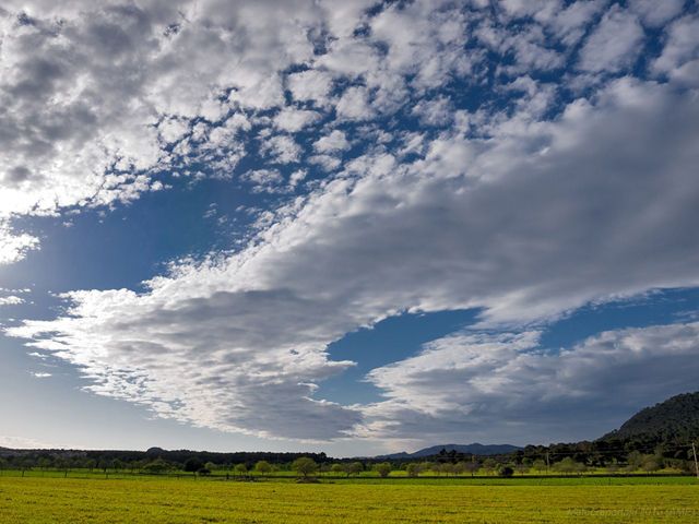 Cielito lindo Foto 3: "Cielito lindo"