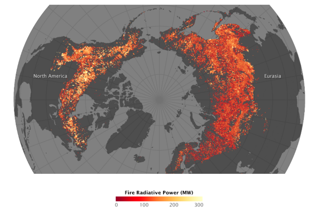 Карта лесных пожаров наса