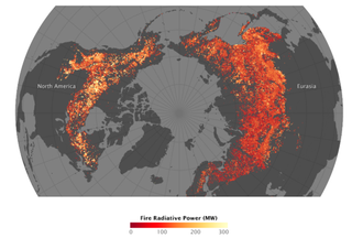 Los incendios forestales de alta latitud se comportan de manera diferente en América del Norte y en Eurasia
