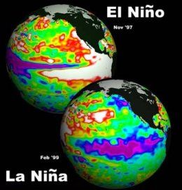 Patrones de temperatura de superficie correspondientes al Niño y a La Niña. Rojo / blanco denota agua más caliente, púrpura denota más fría. El contenido de calor del agua se calculó desde el satélite de mediciones de la altura del agua TOPEX / Poseidón. [Más información]. Foto NASA.