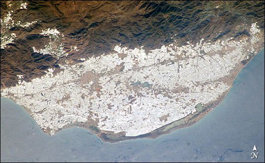 Imagen del campo de Dalias en Almería, mostrando la infinidad de invernaderos donde se desarrolla una agricultura “tempranera” muy rentable