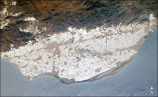 Imagen única