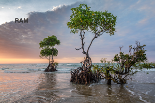 ¿Quién tiene la culpa de las "salvajes" condiciones climáticas? "La Nada"
