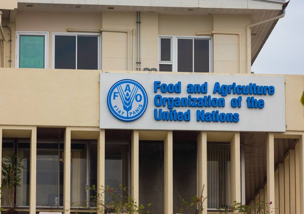 FAO - Organização das Nações Unidas para a Agricultura e a Alimentação (FAO). FAO - Organização das Nações Unidas para a Agricultura e a Alimentação (FAO).