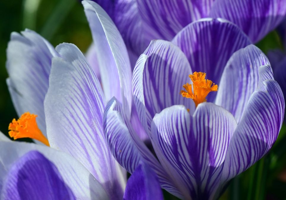 Frühling startet durch Frühling startet durch