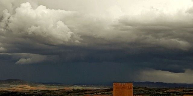 Tormenta primaveral 3ª Posición: Tormenta primaveral de Antonio Ontangas Jarque, Delonix