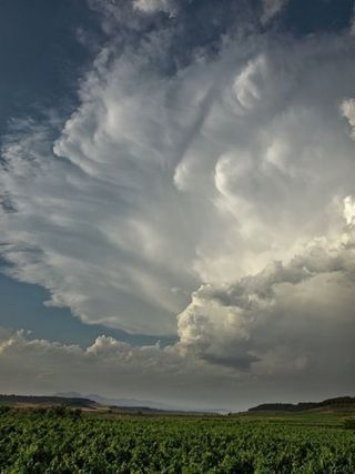 Resultados del concurso fotográfico de junio de 2011 en Meteored