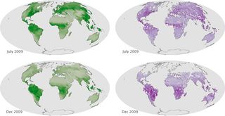 Midiendo la salud de las plantas con luz fluorescente