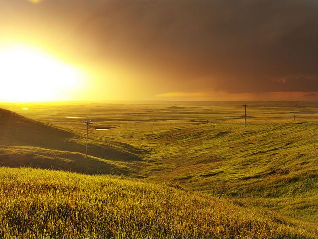 Amarillos de Zack Biggs2010 Amarillos de Zack Biggs2010