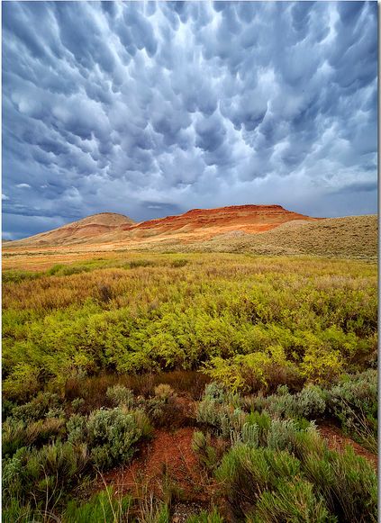 Mammatus, Reid Wolcott Mammatus, Reid Wolcott