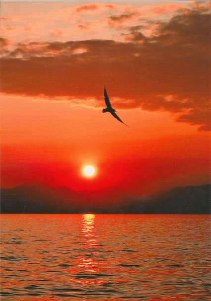Foto ganadora en la categoría de 'atardecer y amanecer'. Jessica Satchell, 'Sunset on a lake'. Tomada en Lazise, Lago Garda, Italia
