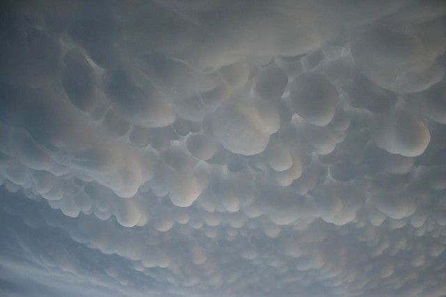 Mammatus burbujeantes Mammatus burbujeantes