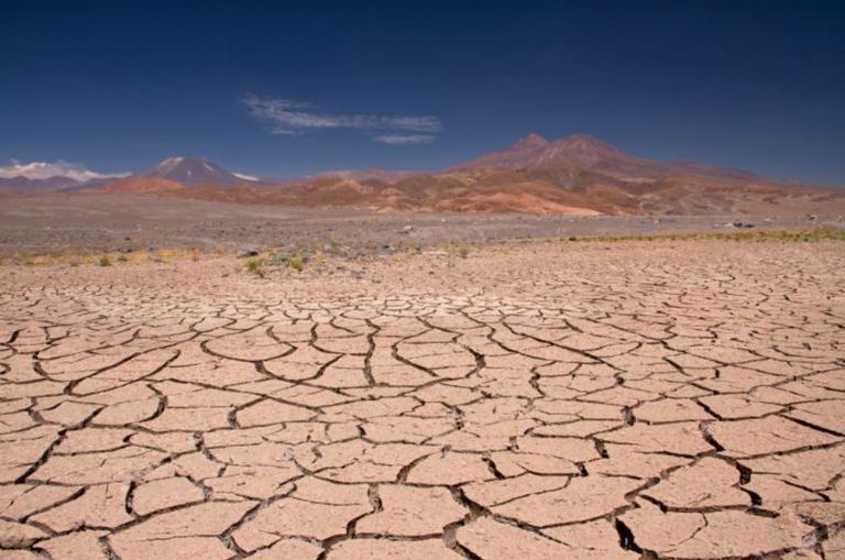 17 de junio: Día Mundial de Lucha contra la Desertificación 17 de junio: Día Mundial de Lucha contra la Desertificación
