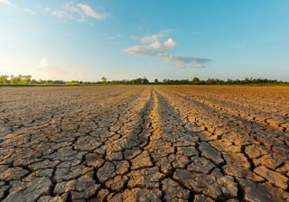 17 giugno, è la Giornata mondiale per la lotta alla desertificazione