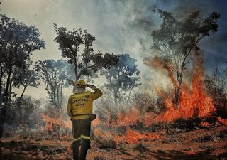 17 mil focos de incêndio! Brasil bate novo recorde nos primeiros quatro meses de 2024