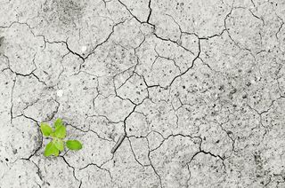 Seminario sobre “Evaluación sobre impactos, vulnerabilidad y adaptación al cambio climático en el medio marino”