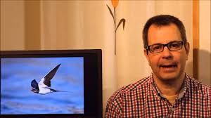 Señales primaverales