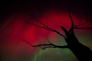 Auroras en octubre