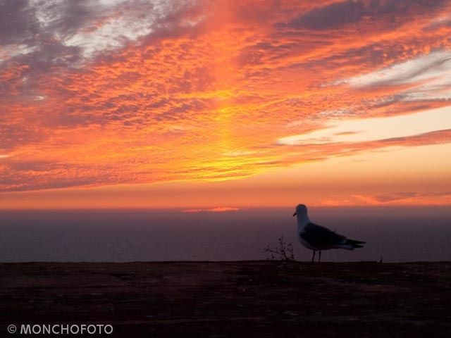 3ª Posición: Puesta del sol en las Cies II de Ramón López, Monchofoto