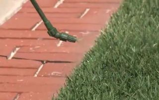 Pintar el césped de verde por la sequía