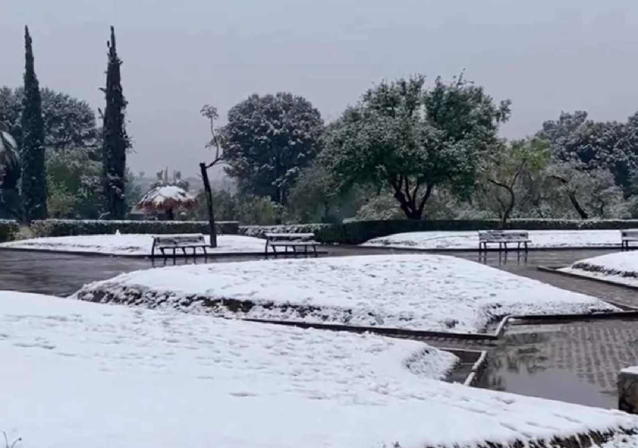 Norte de México se cubre de nieve: Coahuila, Nuevo León y Chihuahua