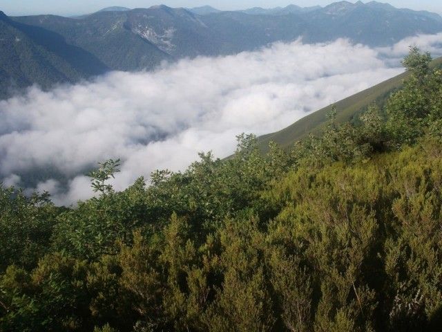Mar de nubes en el valle de José Luis Álvarez Fernández, joseluastur