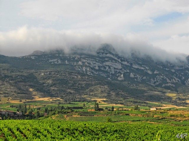 Bóreas de Álvaro Machuca Puente AlcoSanse