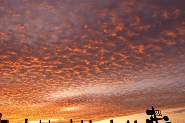 Ceremonia al ocaso de Ribera-Met