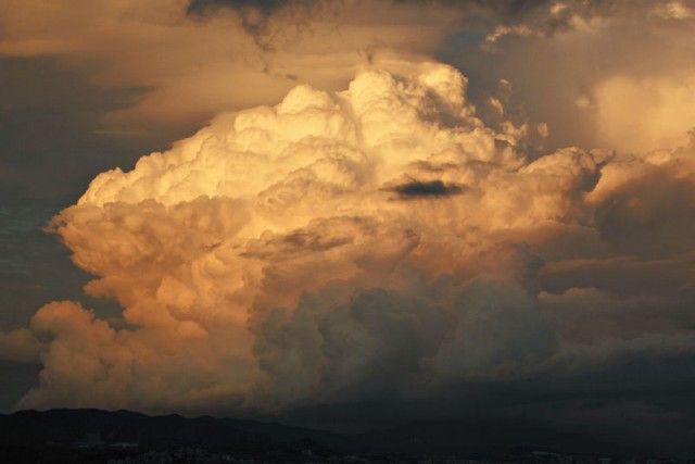 Tormenta vespertina de Antonio Ontangas Jarque, Delonix
