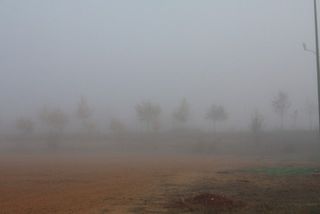Nieblas zamoranas- 30/10/11 (resumen)