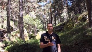 Los bosques y la lluvia