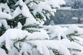 Índice tentativo de la RAM de enero de 2012