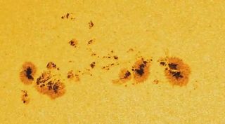 El grupo de manchas solares AR 2339 cruza el Sol