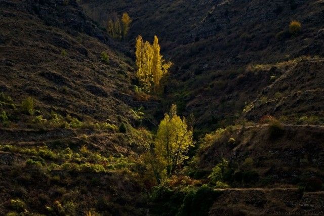 Hasta la próxima primavera 9ª Posición (2) Hasta la próxima primavera de Ribera-Met