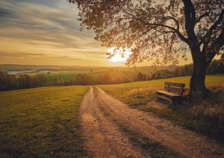 19 Grad: Unglaubliche Novemberwärme!